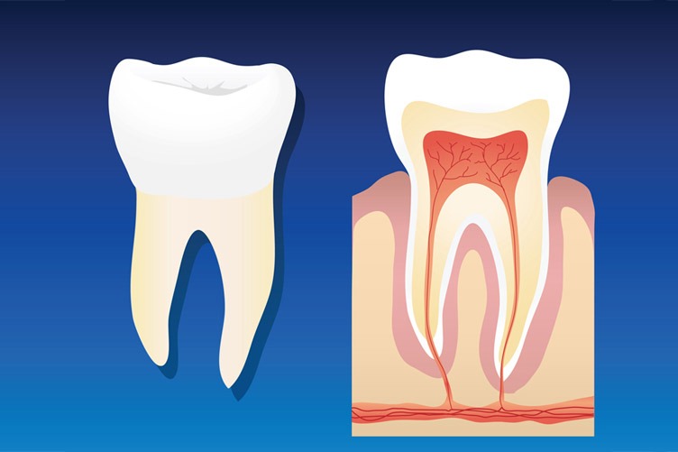 Root Canal Treatment Aftercare Tips